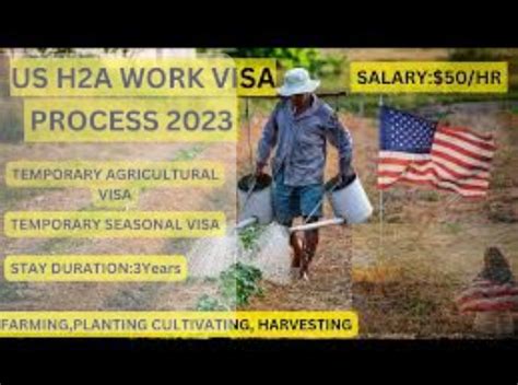 h 2 worker.